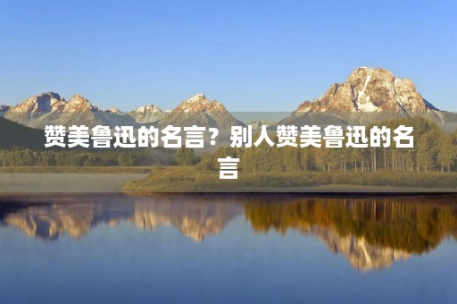 赞美鲁迅的名言？别人赞美鲁迅的名言