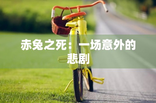赤兔之死:一场意外的悲剧 赤兔之死:一场意外的悲剧