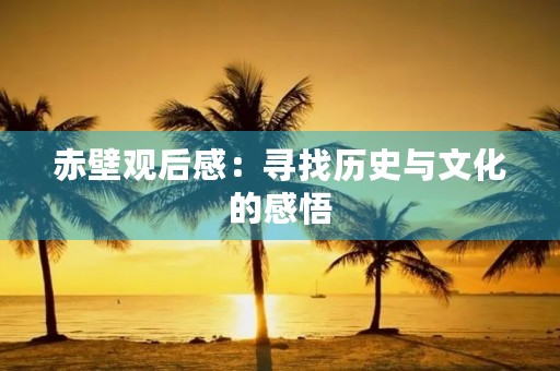 赤壁观后感:寻找历史与文化的感悟 赤壁观后感:寻找历史与文化的感悟