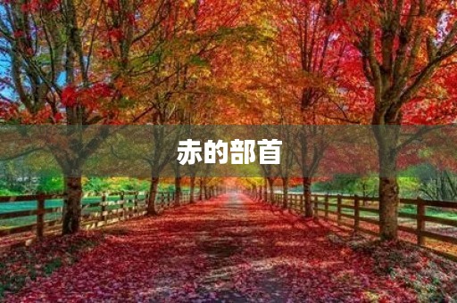 赤的部首(赤的部首) 赤的部首(赤的部首)
