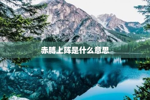 赤膊上阵是什么意思