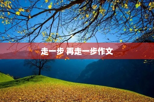 走一步 再走一步作文 走一步 再走一步作文
