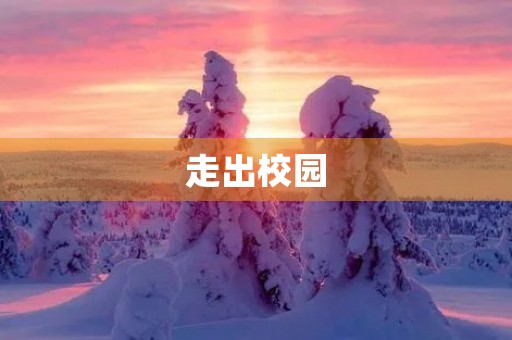 走出校园，迎接未知