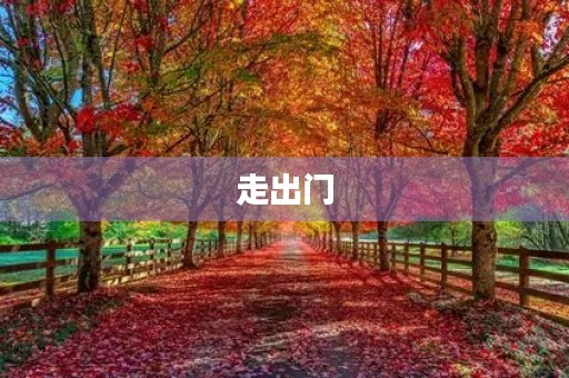 走出门，收获无限