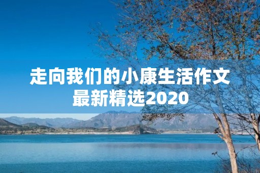 走向我们的小康生活作文最新精选2020 走向我们的小康生活作文最新精选2020