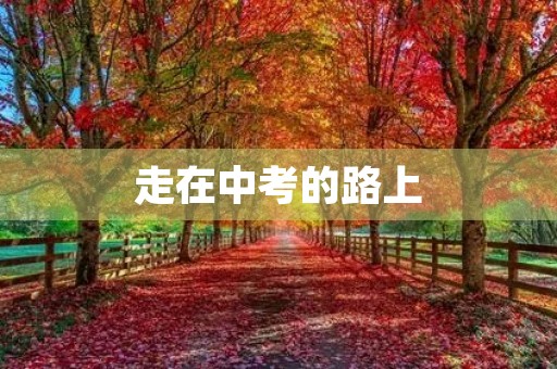 走在中考的路上