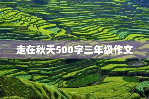 走在秋天500字三年级作文 走在秋天500字三年级作文