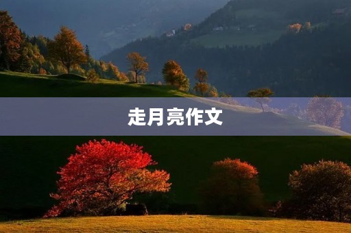 走月亮作文 走月亮作文
