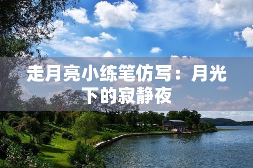 走月亮小练笔仿写：月光下的寂静夜