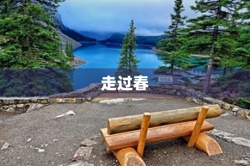 走过春,夏,秋300字三年级作文 走过春,夏,秋300字三年级作文