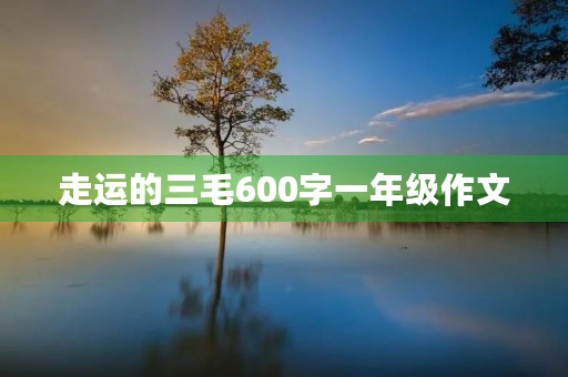 走运的三毛600字一年级作文