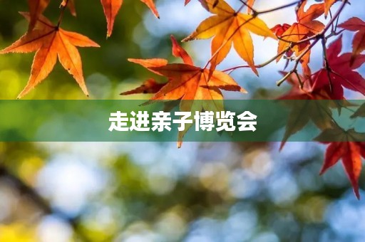 走进亲子博览会 走进亲子博览会
