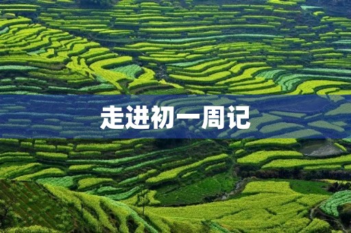 走进初一周记 走进初一周记