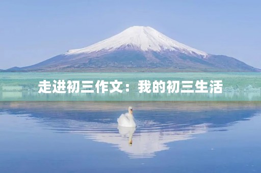走进初三作文：我的初三生活