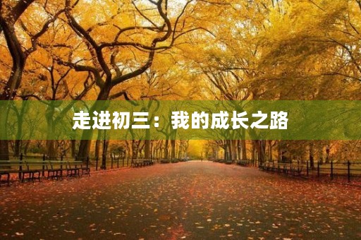 走进初三：我的成长之路