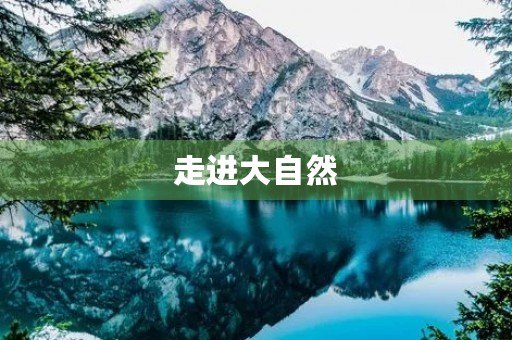 走进大自然，感受生命的力量