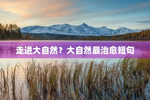 走进大自然?大自然最治愈短句 走进大自然?大自然最治愈短句