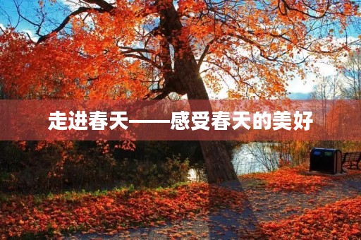 走进春天——感受春天的美好