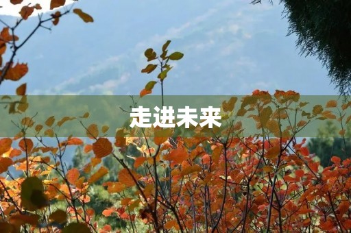 走进未来 走进未来