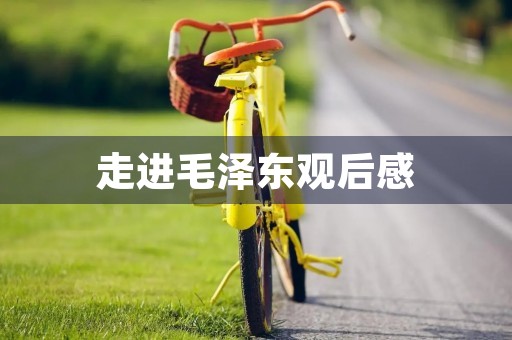 走进毛泽东观后感
