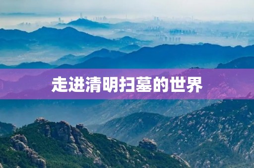 走进清明扫墓的世界 走进清明扫墓的世界