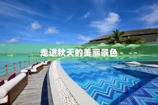 走进秋天的美丽景色 走进秋天的美丽景色
