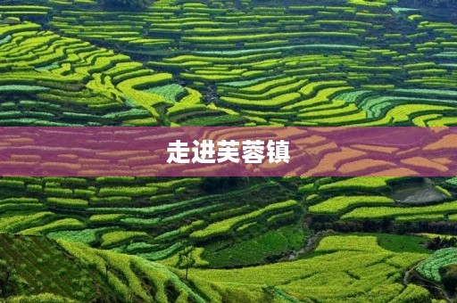 走进芙蓉镇,感受乡村生活的美好 走进芙蓉镇,感受乡村生活的美好