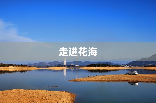 走进花海,感受春天的气息——看花展作文 走进花海,感受春天的气息——看花展作文