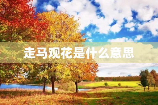 走马观花是什么意思 走马观花是什么意思