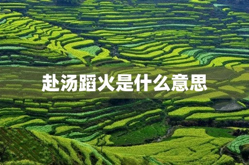 赴汤蹈火是什么意思 赴汤蹈火是什么意思
