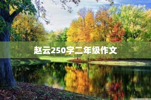 赵云250字二年级作文
