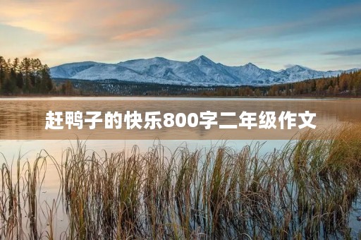 赶鸭子的快乐800字二年级作文