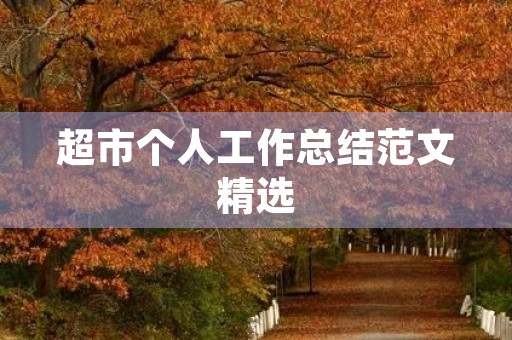 超市个人工作总结范文精选