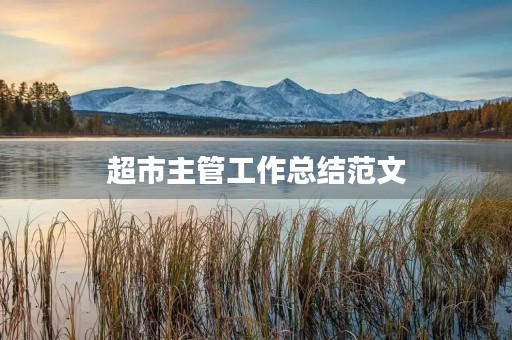 超市主管工作总结范文
