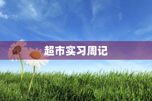 超市实习周记 超市实习周记