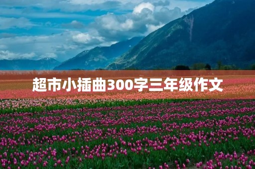 超市小插曲300字三年级作文