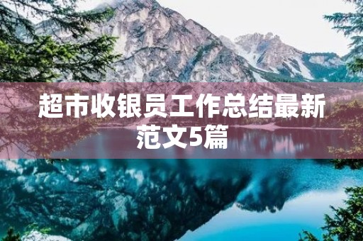 超市收银员工作总结最新范文5篇