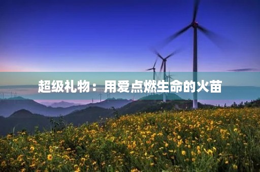 超级礼物：用爱点燃生命的火苗