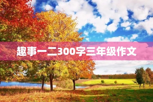 趣事一二300字三年级作文