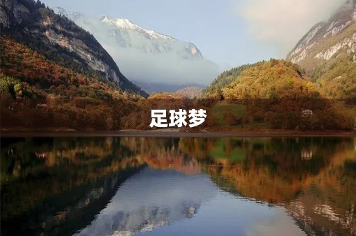 足球梦,中国梦——观后感 足球梦,中国梦——观后感