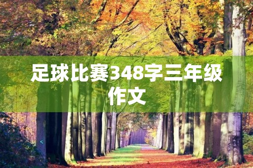足球比赛348字三年级作文 足球比赛348字三年级作文