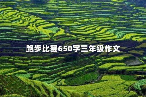 跑步比赛650字三年级作文 跑步比赛650字三年级作文
