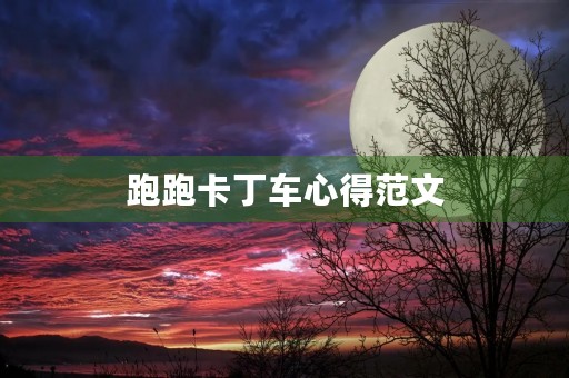 跑跑卡丁车心得范文