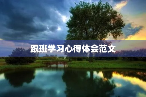 跟班学习心得体会范文