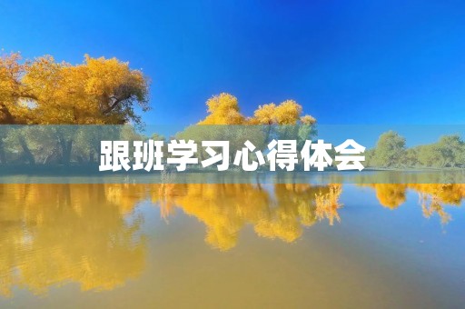 跟班学习心得体会