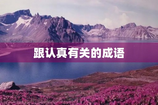 跟认真有关的成语