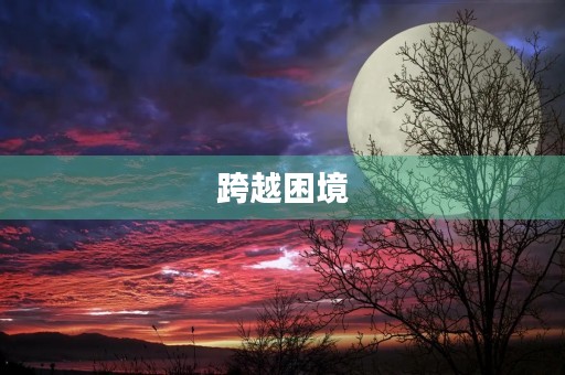 跨越困境,奋力向前 跨越困境,奋力向前