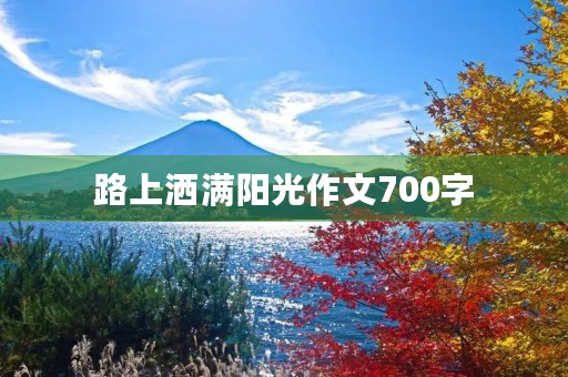 路上洒满阳光作文700字 路上洒满阳光作文700字