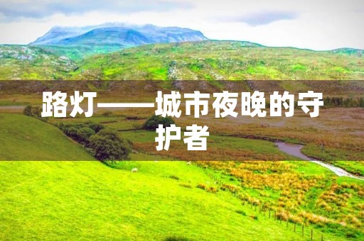 路灯——城市夜晚的守护者 路灯——城市夜晚的守护者