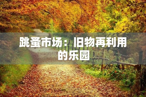 跳蚤市场:旧物再利用的乐园 跳蚤市场:旧物再利用的乐园